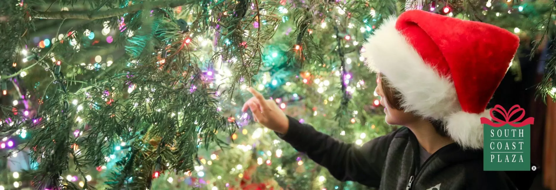 The Segerstrom family’s 44th Annual Tree Lighting at South Coast Plaza The Segerstrom family’s 44th Annual Tree Lighting at South Coast Plaza