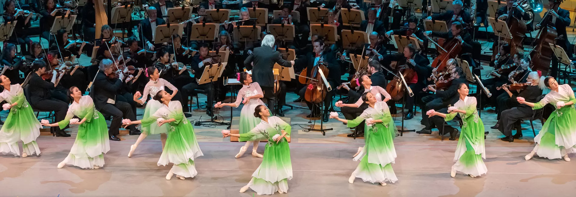 Guest Appearance: Lunar New Year