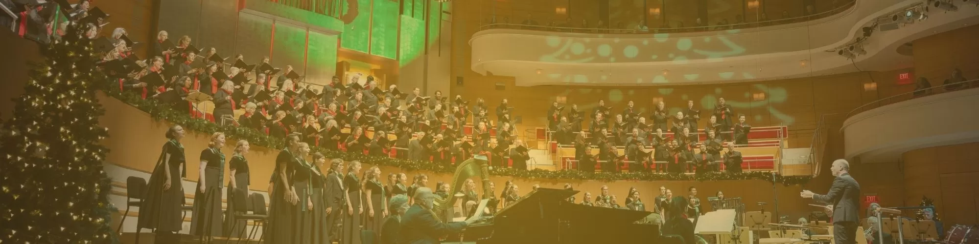 Holiday Rep Announced!